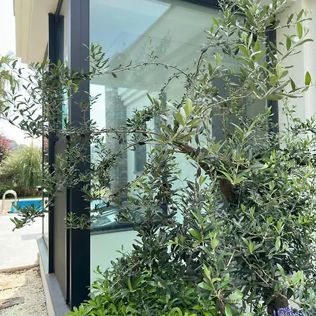 酒店 Falcon With Swimming Pool And Great Views *